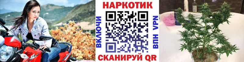 Магазин наркотиков Краснозаводск Конопля  Меф  Alpha-PVP  ГАШ  Кокаин 