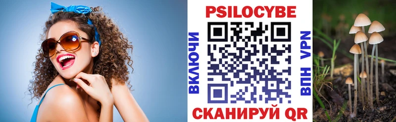 цена наркотик  Краснозаводск  Галлюциногенные грибы Cubensis 